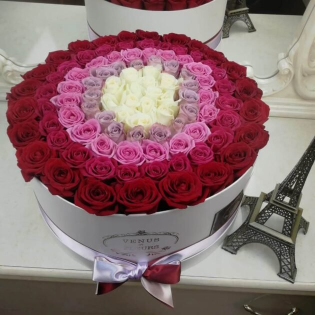 Ombre Rose Box Arrangement